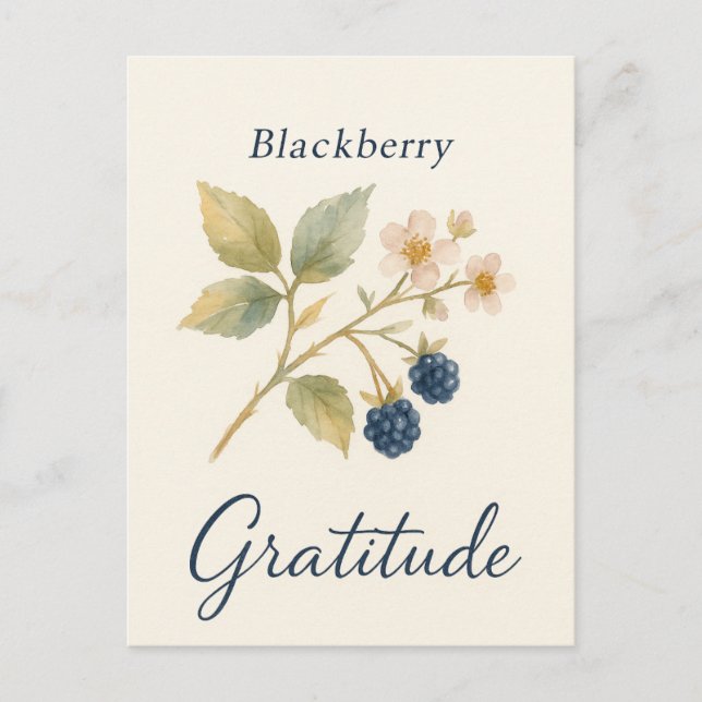 Blackberry — Gratitude Postcard Postkarte (Vorderseite)