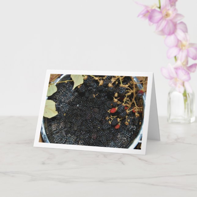 BlackBerry in Colander Karte (Orchidee)