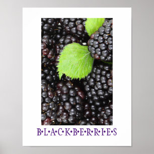 BlackBerry Kitchen Art Poster