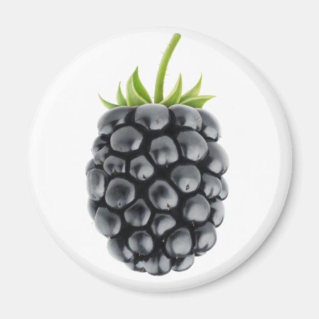 BlackBerry Magnet (Vorne)