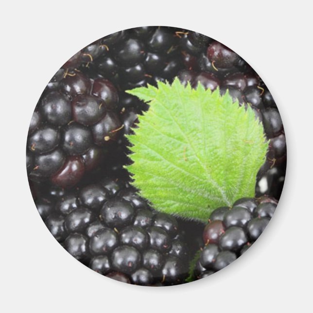 BlackBerry Magnet (Vorne)
