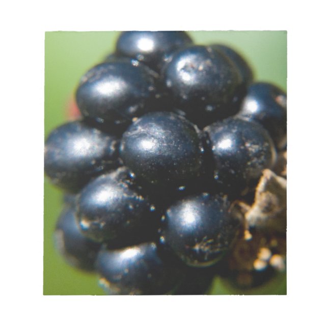 BlackBerry Notizblock (Vorderseite)