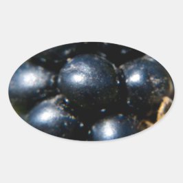 BlackBerry Ovaler Aufkleber