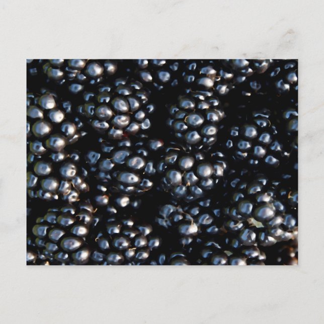 BlackBerry Postkarte (Vorderseite)