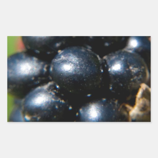 BlackBerry Rechteckiger Aufkleber (Vorderseite)