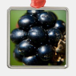 BlackBerry Silbernes Ornament