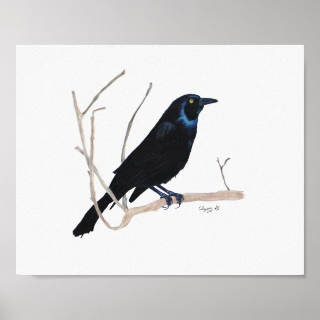 Blackbird 8x10 Print Poster (Vorne)