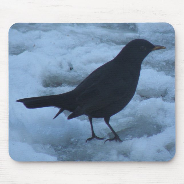 Blackbird auf Eis Mousepad (Vorne)