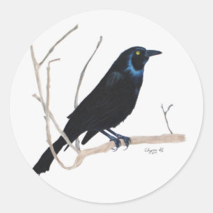 Blackbird-Aufkleber Runder Aufkleber