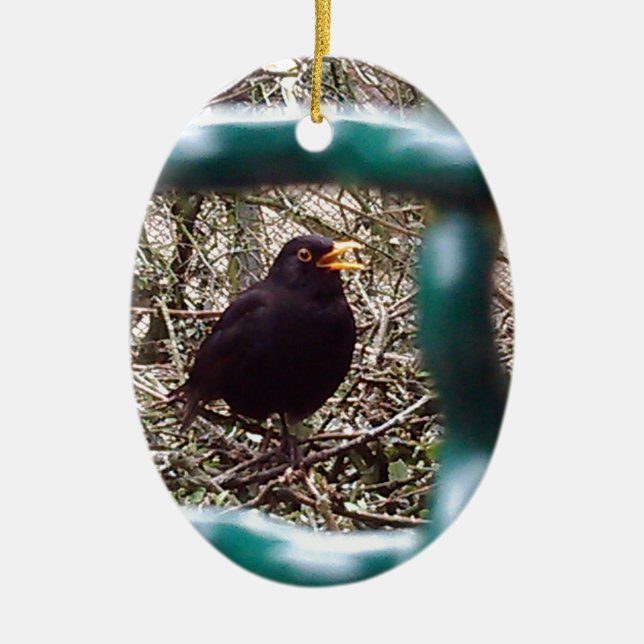 Blackbird Bars, Animal, Birds, Black Bird Keramik Ornament (Vorne)