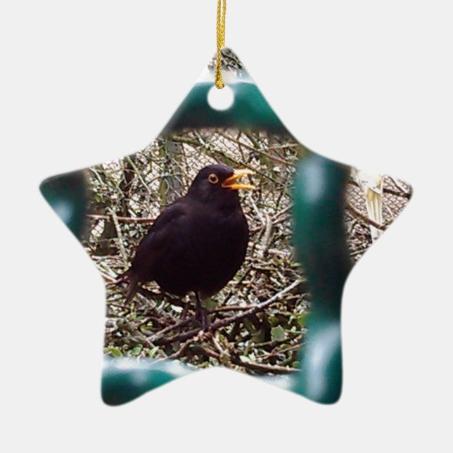 Blackbird Bars, Animal, Birds, Black Bird Keramikornament (Vorne)