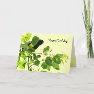 Blackbird Birthday Karte