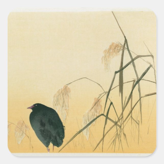 Blackbird, Edo-Periode Quadratischer Aufkleber (Vorderseite)