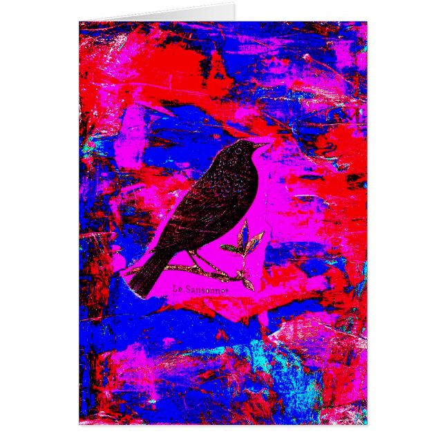 Blackbird Mixed Media Digital Art (Vorne)