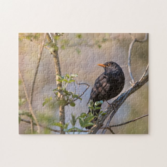 Blackbird Nature Foto Puzzle (Horizontal)