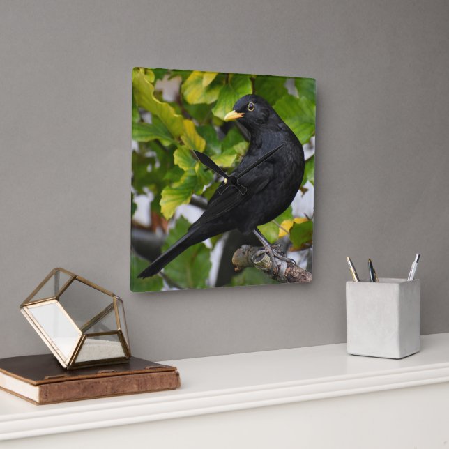 Blackbird Quadratische Wanduhr (Büro)