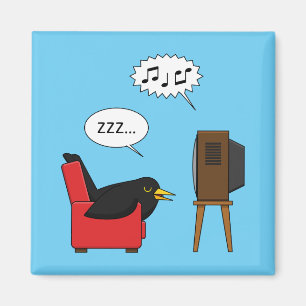 Blackbird Schlafen vor dem TV-Comic Magnet