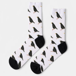 Blackbird Socken