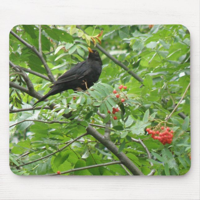 Blackbird und Berries Mousepad (Vorne)
