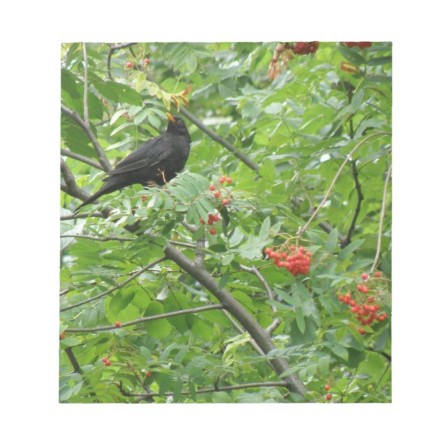 Blackbird und Berries Notepad Notizblock (Vorderseite)