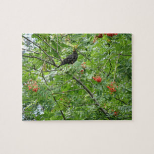 Blackbird und Berries Puzzle