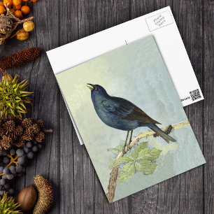 Blackbird Watercolor PostCard singen Postkarte