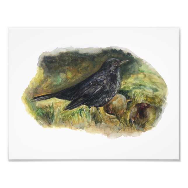 Blackbird Watercolor print von Marie Anne Art Fotodruck (Vorne)