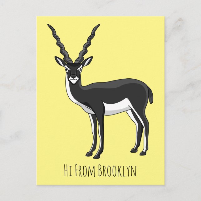 Blackbuck-Antelope-Abbildung Postkarte (Vorderseite)