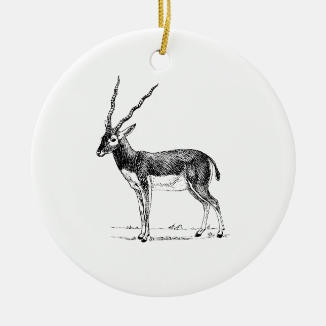 Blackbuck Antilope Keramik Ornament (Vorne)