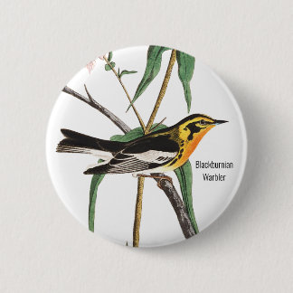 Blackburnian Warbler, Audubon, Wildlife Vogelbeoba Button