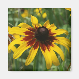 Blackeyed Susan-Magnet Magnet