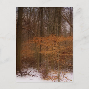 Blacklick Park Postkarte
