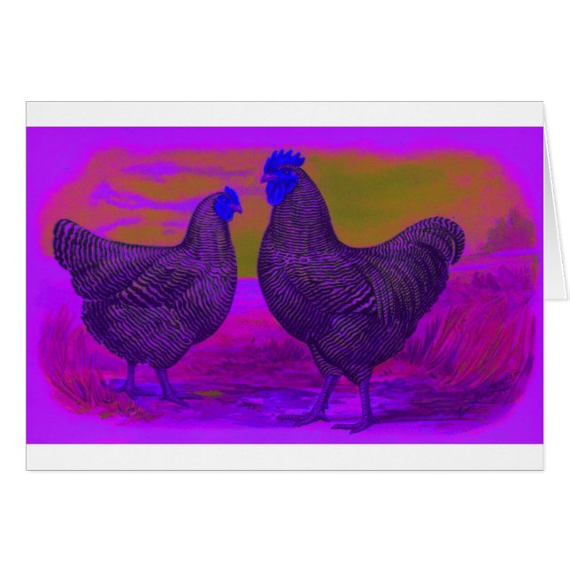 BlackLight (Vorderseite (Horizontal))