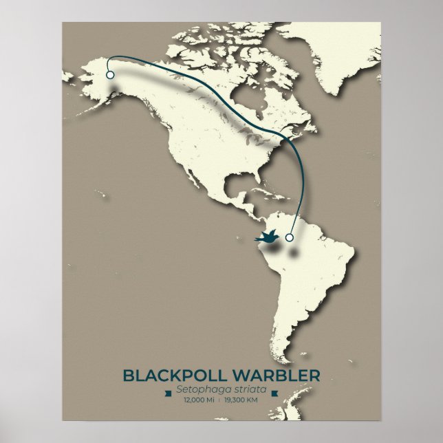 Blackpoll Warbler Migration Map - Minimalistisch Poster (Vorne)