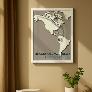 Blackpoll Warbler Migration Map - Minimalistisch Poster