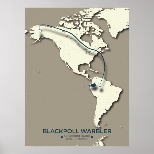 Blackpoll Warbler Migration Map - Minimalistisch Poster (Vorne)