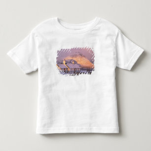 Blackrock Hütte, Glencoe, Highlands, Schottland 2 Kleinkind T-shirt
