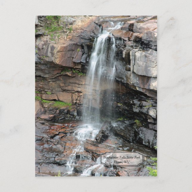Blackwater Falls Davis WV Postcard Postkarte (Vorderseite)