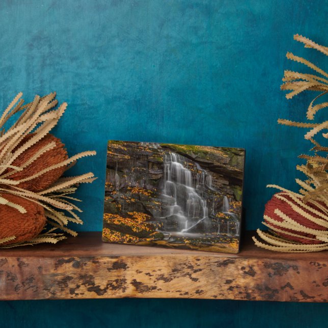 Blackwater Falls Staat Park Fotoplatte (Seite)