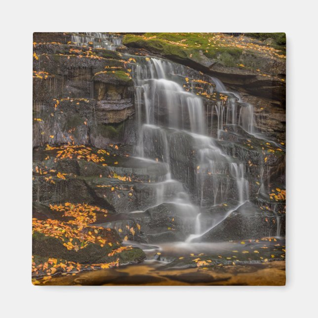 Blackwater Falls Staat Park Magnet (Vorne)