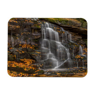 Blackwater Falls Staat Park Magnet