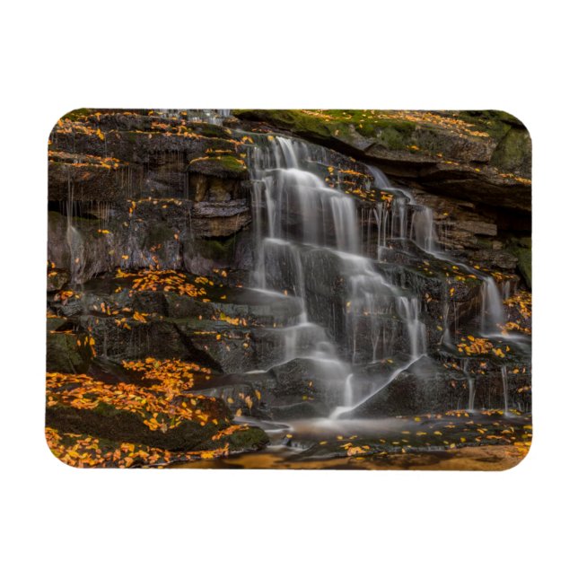 Blackwater Falls Staat Park Magnet (Horizontal)