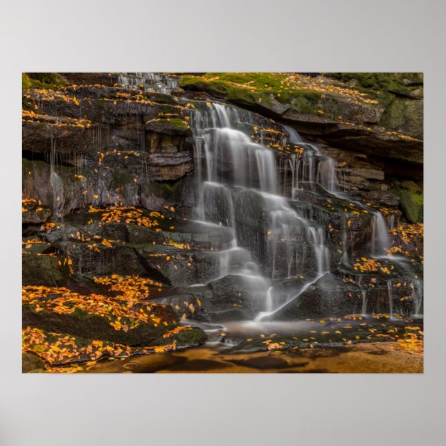 Blackwater Falls Staat Park Poster (Vorne)