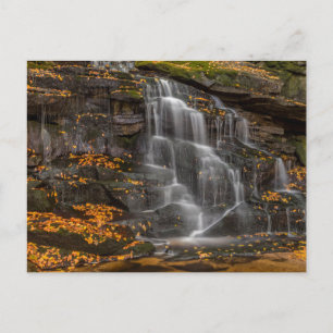 Blackwater Falls Staat Park Postkarte