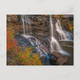 Blackwater Falls Staat Park   West Virginia Postkarte