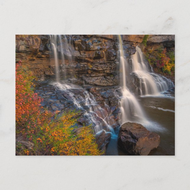 Blackwater Falls Staat Park | West Virginia Postkarte (Vorderseite)