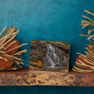 Blackwater Falls State Park Fotoplatte