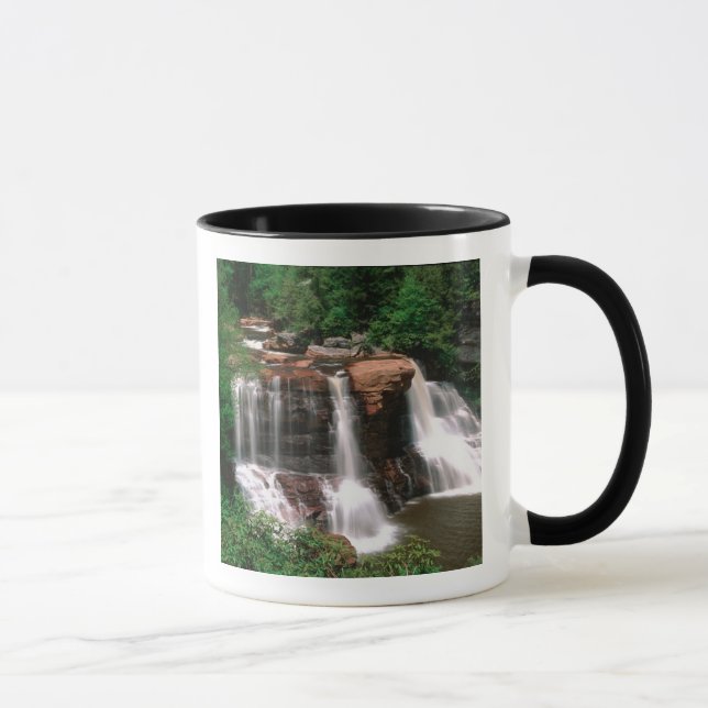 Blackwater Falls, West Virginia, landschaftlich, Tasse (Rechts)