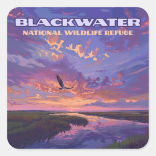 Blackwater National Wildlife Refugium Park Marylan Quadratischer Aufkleber