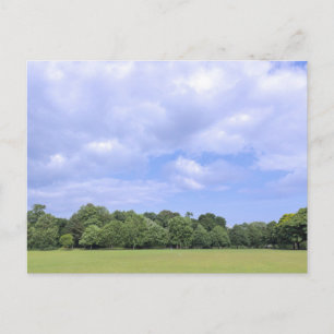 Blackweir-Felder. Bute Park, Cardiff, Wales. Postkarte